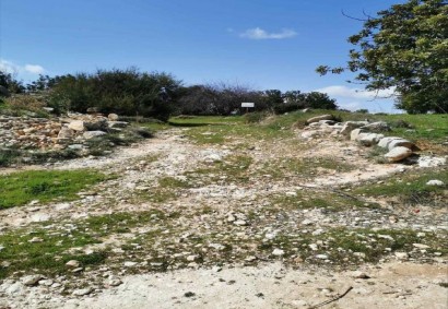 Pachna, Limassol Agricultural Land For Sale | C12288
