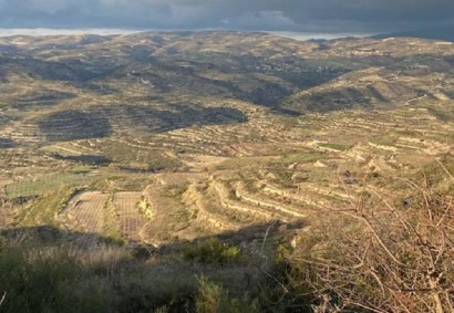 Pachna, Limassol Agricultural Land For Sale | C12291