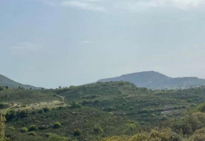 Pachna, Limassol Agricultural Land For Sale | C12293