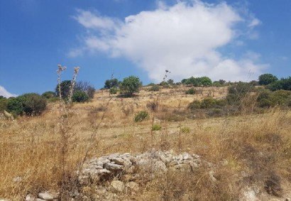 Pachna, Limassol Agricultural Land For Sale | C12294