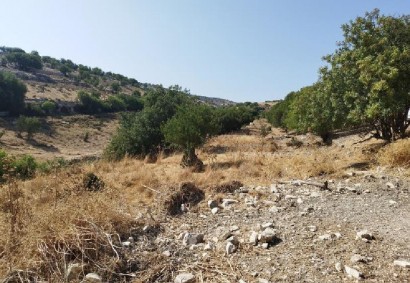 Malia, Limassol Agricultural Land For Sale | C12295