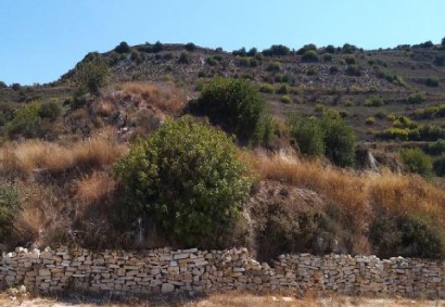 Pachna, Limassol Agricultural Land For Sale | C12296