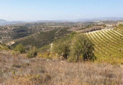 Vasa Koilaniou Agricultural Land For Sale | C12299