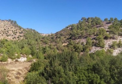 Pachna, Limassol Agricultural Land For Sale | C12300