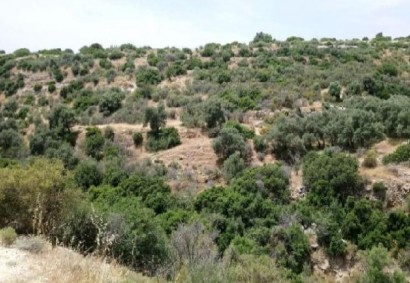 Avdimou, Limassol Agricultural Land For Sale | C12302