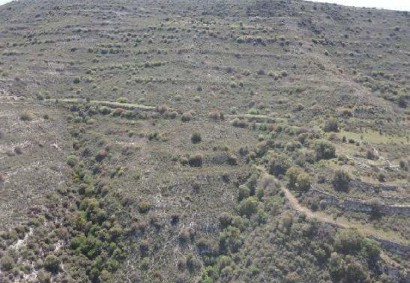 Dora, Limassol Agricultural Land For Sale | C12305