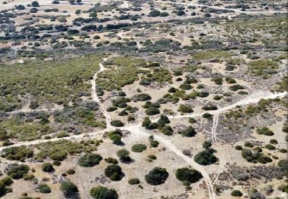 Avdimou, Limassol Agricultural Land For Sale | C12306