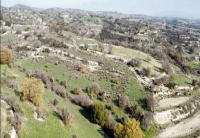 Dora, Limassol Agricultural Land For Sale | C12307