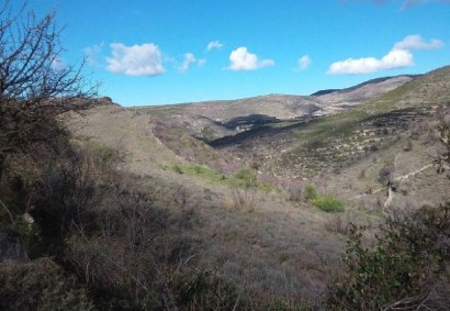 Malia, Limassol Agricultural Land For Sale | C12308