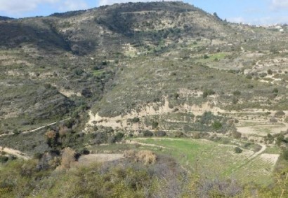 Dora, Limassol Agricultural Land For Sale | C12312