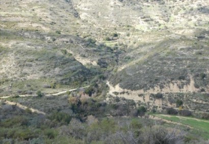 Dora, Limassol Agricultural Land For Sale | C12313