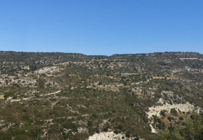 Dora, Limassol Agricultural Land For Sale | C12319