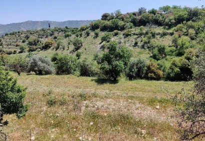 Dora, Limassol Residential Land For Sale | C12320