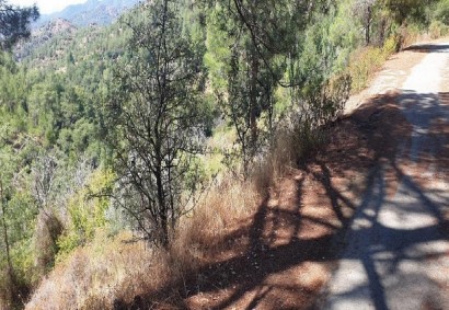 Palaiomylos, Limassol Agricultural Land For Sale | C12321