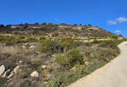 Dora, Limassol Agricultural Land For Sale | C12323