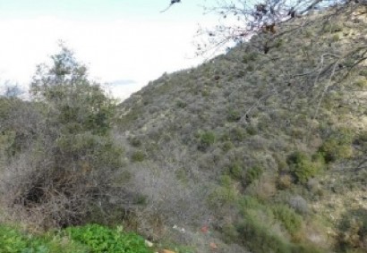 Dora, Limassol Agricultural Land For Sale | C12327