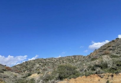 Vasa Kellakiou Agricultural Land For Sale | C12330