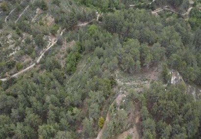 Lemithou, Limassol Agricultural Land For Sale | C12331