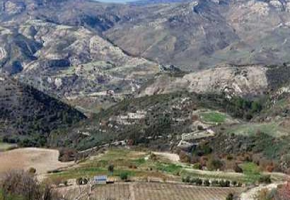 Dora, Limassol Agricultural Land For Sale | C12332