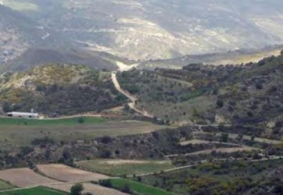 Dora, Limassol Agricultural Land For Sale | C12335
