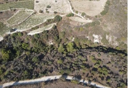Dora, Limassol Agricultural Land For Sale | C12343