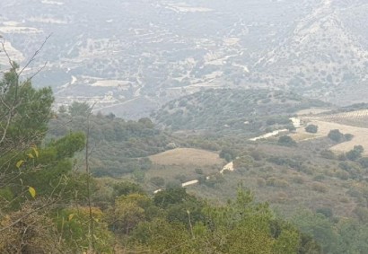 Dora, Limassol Agricultural Land For Sale | C12348