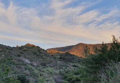 Dora, Limassol Agricultural Land For Sale | C12349