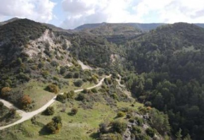 Dora, Limassol Agricultural Land For Sale | C12354