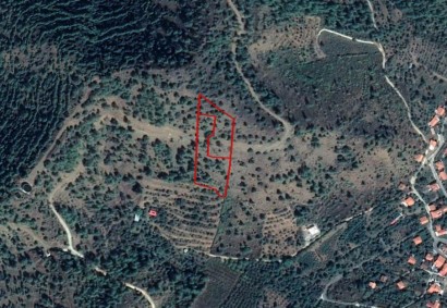 Tsakistra, Nicosia Agricultural Land For Sale | C12379