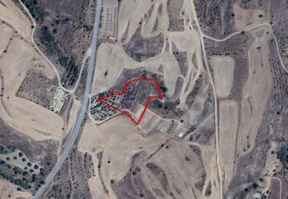 Moni Kato, Nicosia Agricultural Land For Sale | C12385