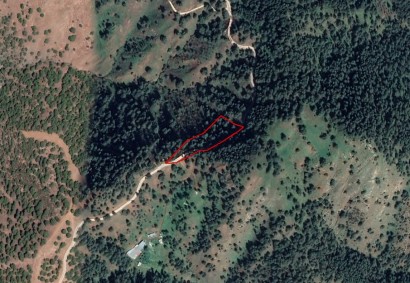 Pigenia, Nicosia Agricultural Land For Sale | C12387