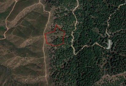 Klirou, Nicosia Agricultural Land For Sale | C12390