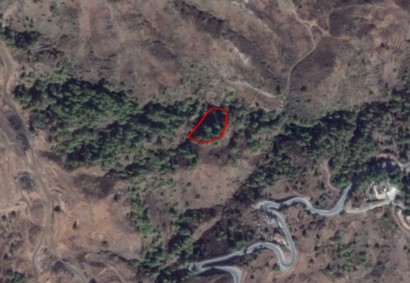 Pigenia, Nicosia Agricultural Land For Sale | C12392