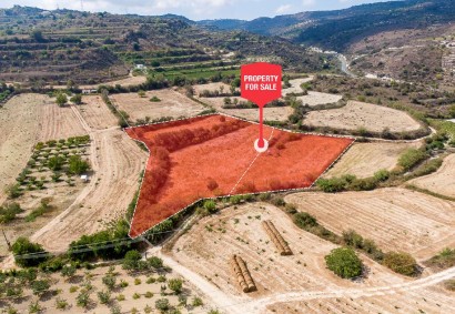 Stroumpi Pano, Paphos Agricultural Land For Sale | C12438