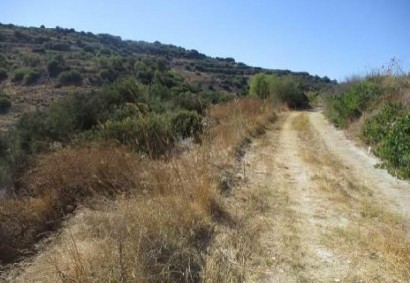 Polemi, Paphos Agricultural Land For Sale | C12448