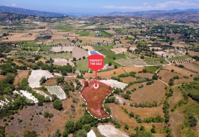 Polemi, Paphos Agricultural Land For Sale | C12450