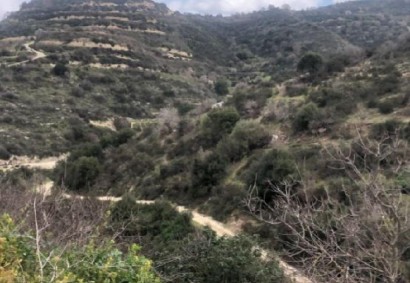 Koili, Paphos Agricultural Land For Sale | C12452