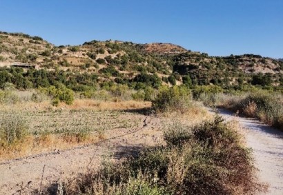 Choulou, Paphos Agricultural Land For Sale | C12455