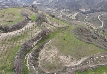 Stroumpi Pano, Paphos Agricultural Land For Sale | C12462