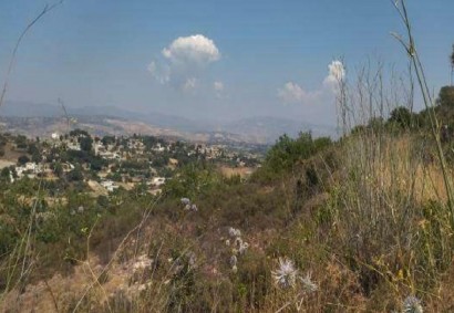 Stroumpi Pano, Paphos Agricultural Land For Sale | C12466