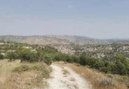 Choulou, Paphos Agricultural Land For Sale | C12467