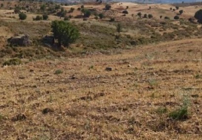Kelokedara, Paphos Agricultural Land For Sale | C12476