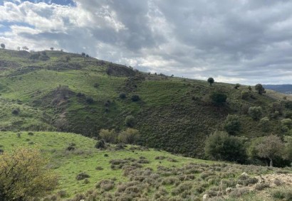 Kelokedara, Paphos Agricultural Land For Sale | C12477