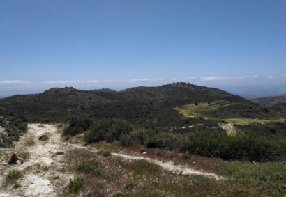Akoursos, Paphos Agricultural Land For Sale | C12478