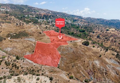 Kelokedara, Paphos Agricultural Land For Sale | C12482