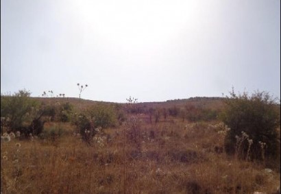 Galataria, Paphos Agricultural Land For Sale | C12485