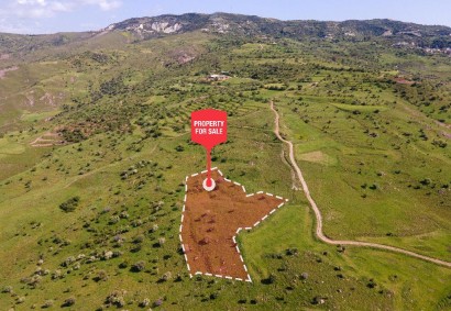 Kelokedara, Paphos Agricultural Land For Sale | C12486