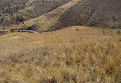 Galataria, Paphos Agricultural Land For Sale | C12489