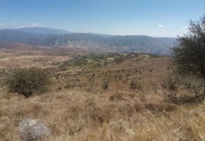 Galataria, Paphos Agricultural Land For Sale | C12490