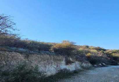 Kelokedara, Paphos Agricultural Land For Sale | C12494